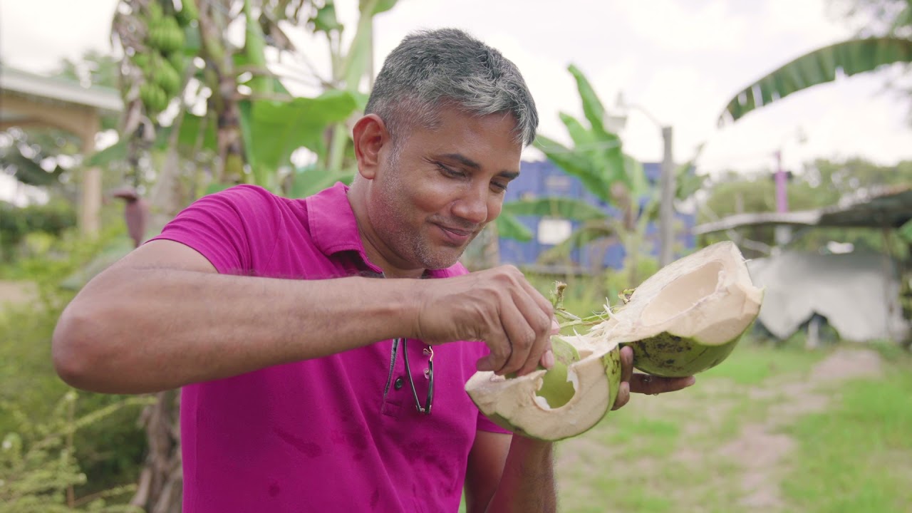 Home Of The Sweetest Coconuts In Guyana Where Henvil Farms In Pomeroon Has Built The Largest Production Plant