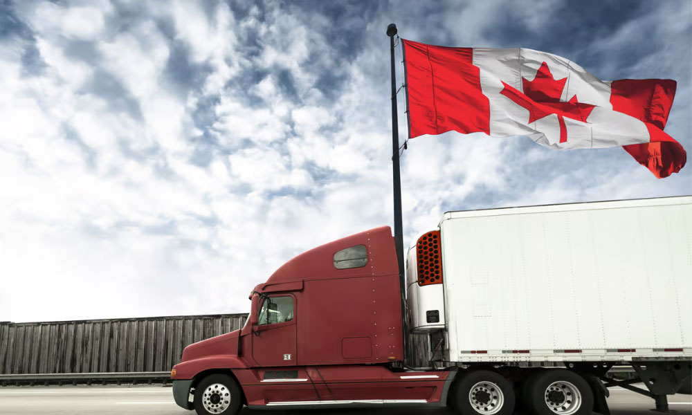 The shortage of longhaul truck drivers in Canada has created income opportunities for Caribbean immigrants